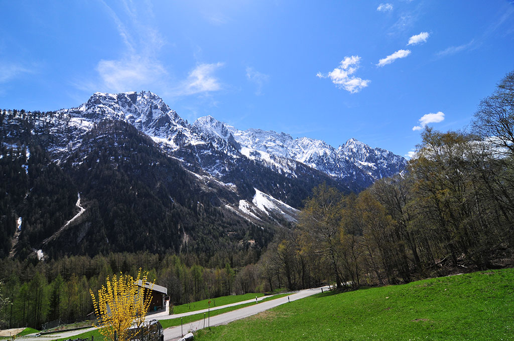 Umgebung